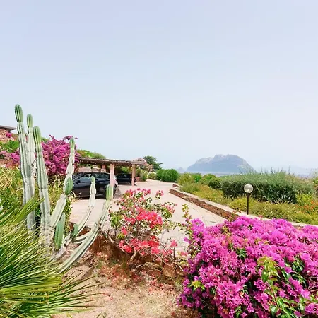 Costa Smeralda Dafne Costa Corallina